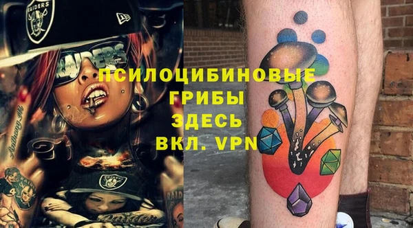 mix Козельск