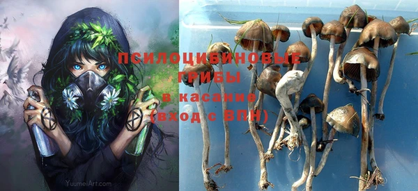 прущие грибы Красноперекопск