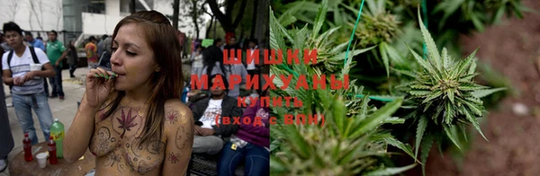 mix Козельск