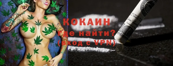 прущие грибы Красноперекопск